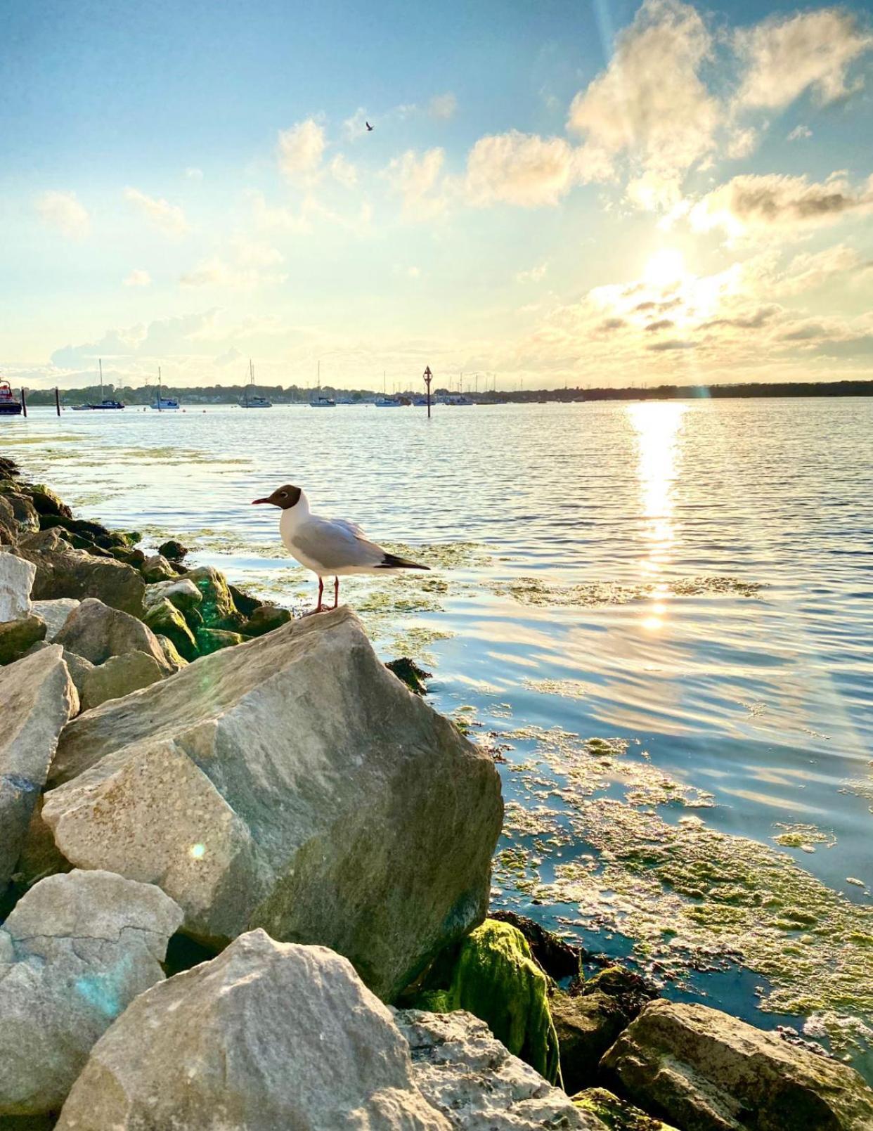 Seaside Escape In Central Bournemouth Spacious Stylish & Inviting Urban Heights Extérieur photo